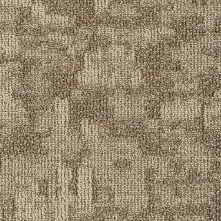 Picture of Philadelphia Commercial by Shaw - SP727 18 x 36 Dunes