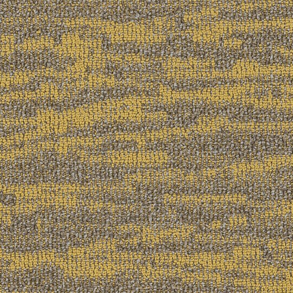 Picture of Philadelphia Commercial by Shaw - SP728 18 x 36 Monadnock