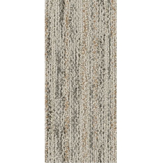 Picture of Philadelphia Commercial by Shaw - SP732 9 x 36 Dalmation Jasper