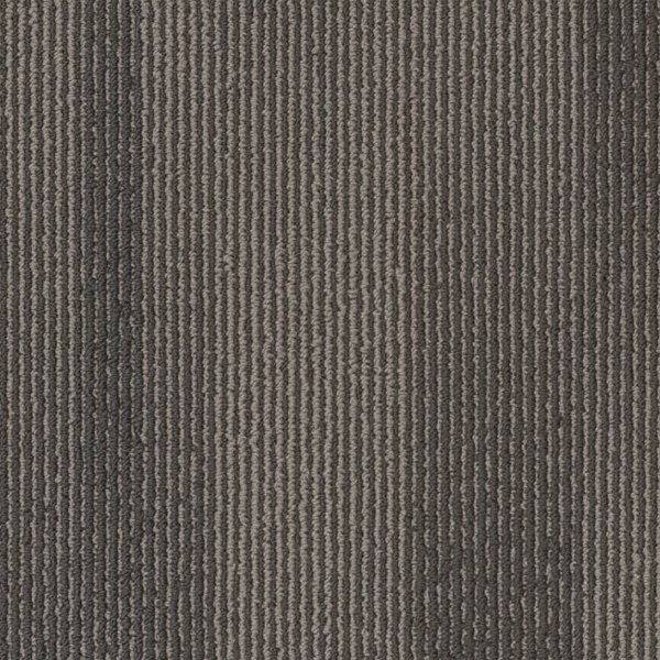 Picture of Philadelphia Commercial by Shaw - SP785 18 x 36 Starry