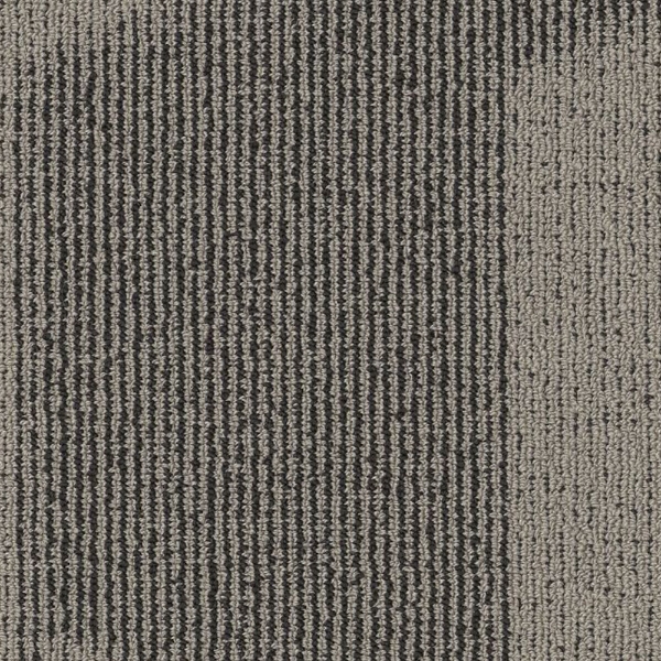 Picture of Philadelphia Commercial by Shaw - SP787 18 x 36 Trendy