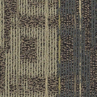 Picture of Philadelphia Commercial by Shaw - SP800 Hall Meeting