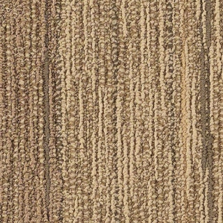 Picture of Philadelphia Commercial by Shaw - SP803 Bond