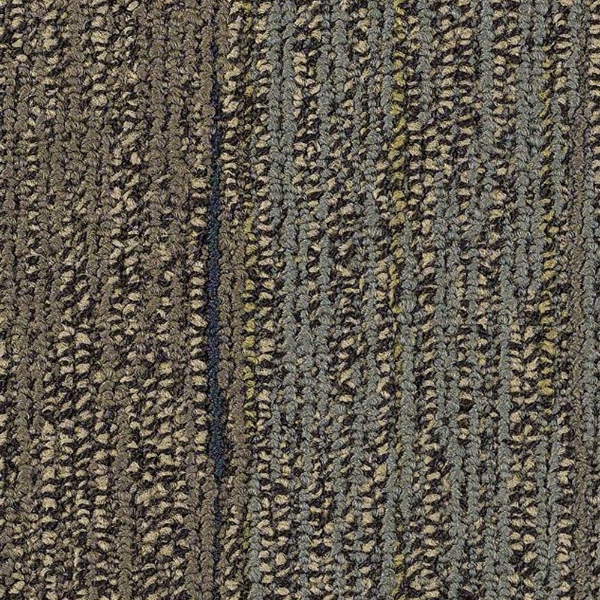 Picture of Philadelphia Commercial by Shaw - SP803 Blend