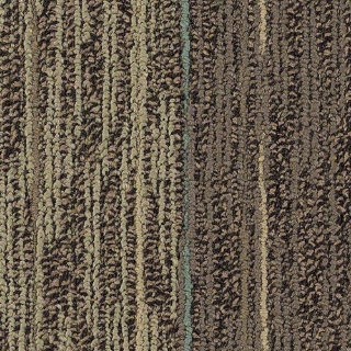 Picture of Philadelphia Commercial by Shaw - SP803 Mingle