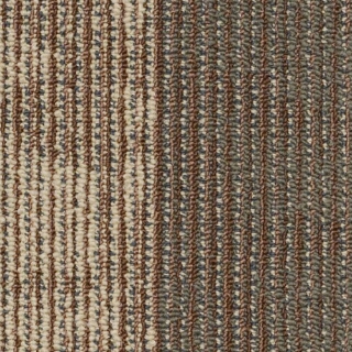 Picture of Philadelphia Commercial by Shaw - SP897 Frequency