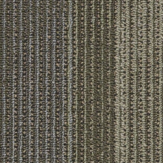 Picture of Philadelphia Commercial by Shaw - SP898 Circuit