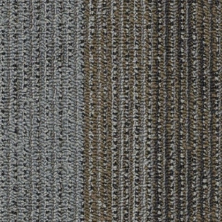 Picture of Philadelphia Commercial by Shaw - SP898 Velocity