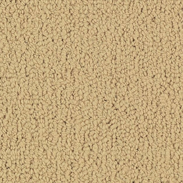 Picture of Philadelphia Commercial by Shaw - SP918 Flax