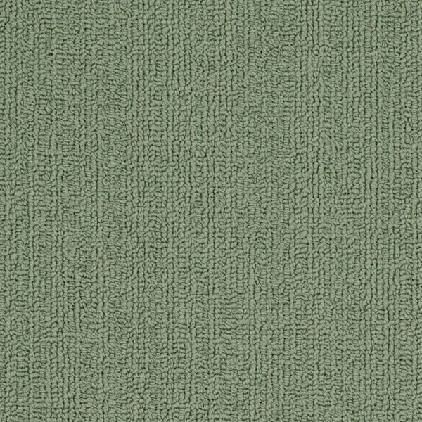 Picture of Philadelphia Commercial by Shaw - SP918 Foliage