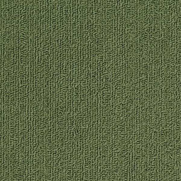 Picture of Philadelphia Commercial by Shaw - SP918 Cactus