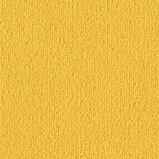 Picture of Philadelphia Commercial by Shaw - SP918 Citrus