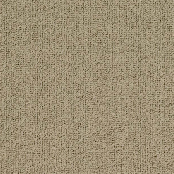 Picture of Philadelphia Commercial by Shaw - SP918 Lichen