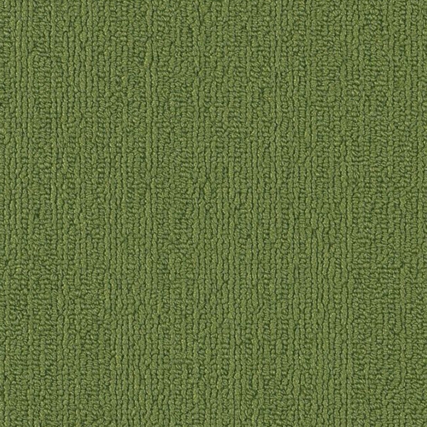 Picture of Philadelphia Commercial by Shaw - SP918 Green