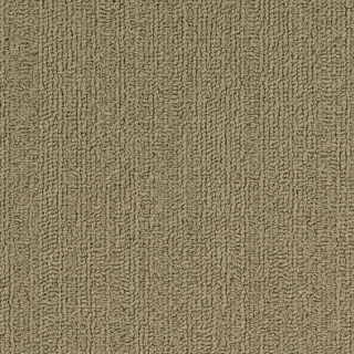 Picture of Philadelphia Commercial by Shaw - SP918 Glass