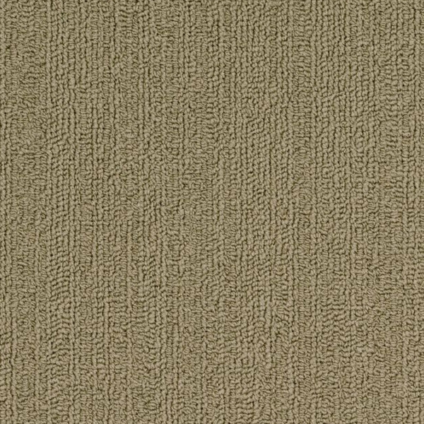 Picture of Philadelphia Commercial by Shaw - SP918 Glass