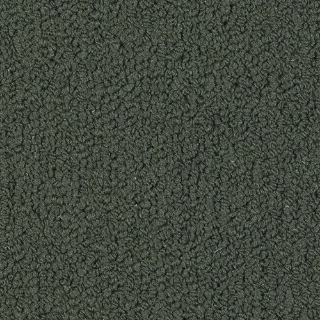 Picture of Philadelphia Commercial by Shaw - SP918 Lava