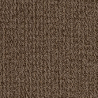 Picture of Philadelphia Commercial by Shaw - SP918 Suede