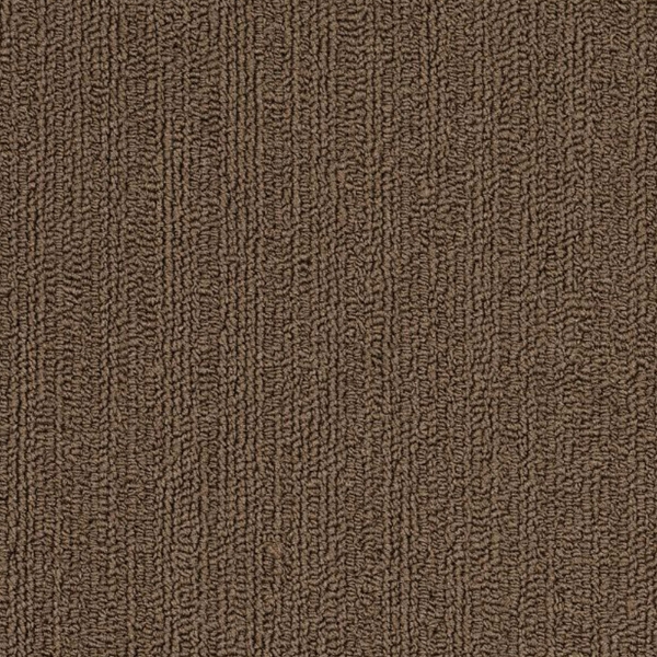 Picture of Philadelphia Commercial by Shaw - SP918 Suede