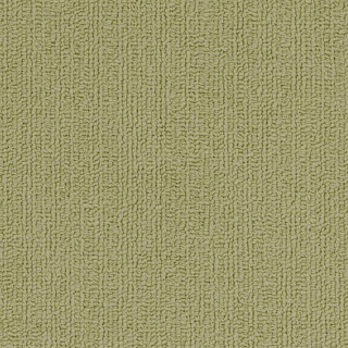 Picture of Philadelphia Commercial by Shaw - SP918 Fescue