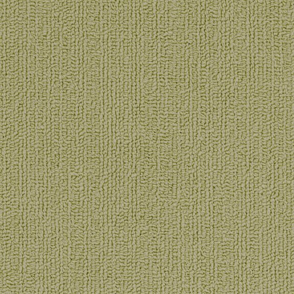 Picture of Philadelphia Commercial by Shaw - SP918 Fescue