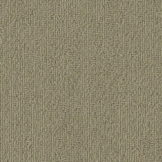 Picture of Philadelphia Commercial by Shaw - SP918 Sage