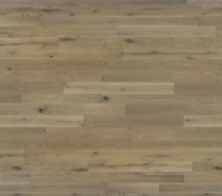 Picture of Norwood Hill - Dalmatia Molat