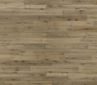 Picture of Norwood Hill - Dalmatia Telescica