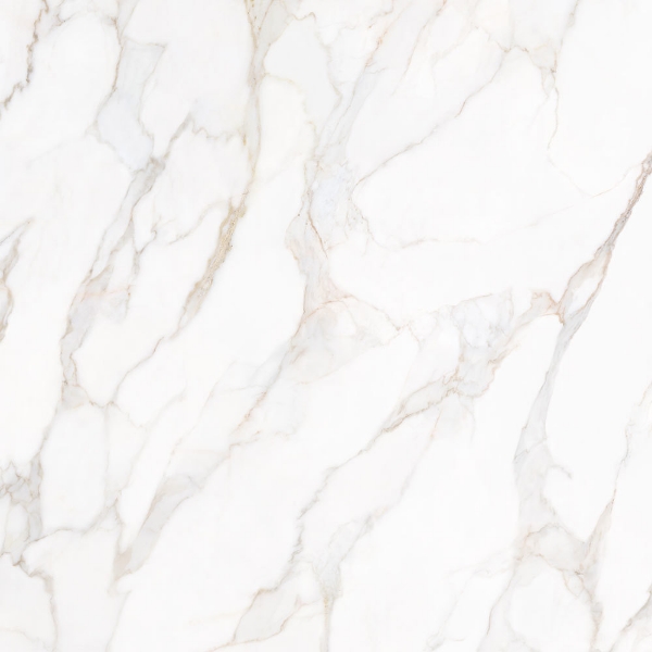 Picture of Tesoro - Paonazzo 36 x 36 Calcatta Gold Polished