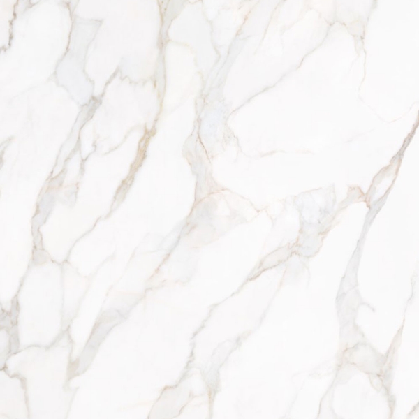 Picture of Tesoro - Paonazzo 24 x 24 Calacatta Gold Matte