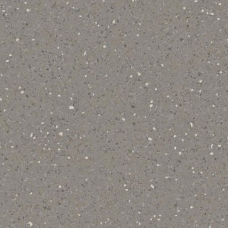 Picture of Tarkett - IQ Eminent 12 x 24 Dark Warm Grey 870