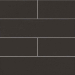 Picture of Shaw Builder - Baker Blvd 4 x 16 Carbon Matte