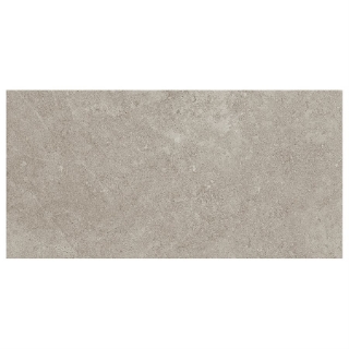 Picture of SOHO Studio Corp - Ages 12 x 24 Tortora