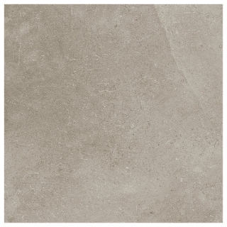 Picture of SOHO Studio Corp - Ages 24 x 24 Tortora