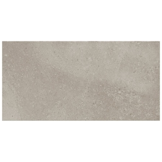 Picture of SOHO Studio Corp - Ages 24 x 48 Tortora