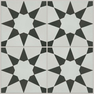 Picture of Shaw Floors - Revival Josefina Onyx