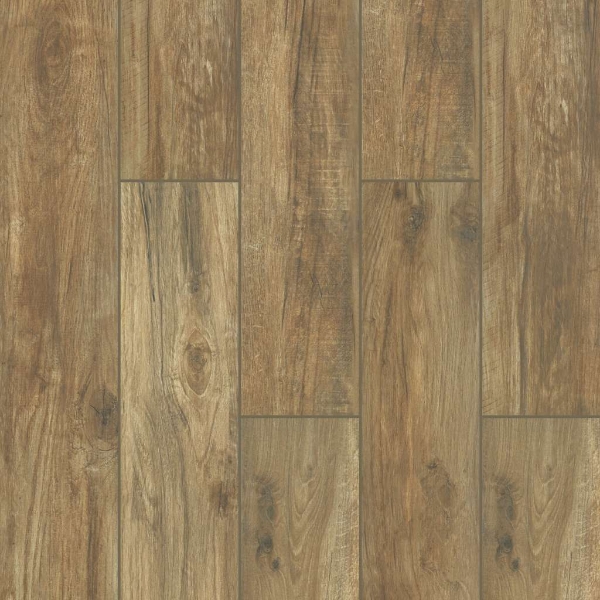 Picture of Shaw Floors - Savannah Honey