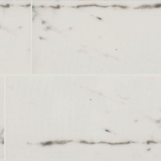 Picture of Shaw Floors - Universe 12 x 24 Haro