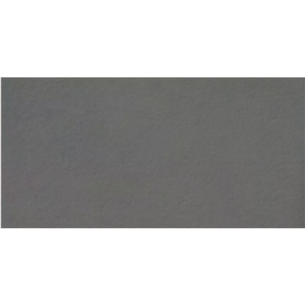 Picture of Milestone - Urban Living 12 x 24 Raw Metropolis