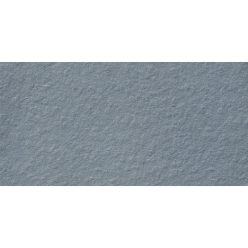 Picture of Milestone - Urban Living 12 x 24 Raw Coastal