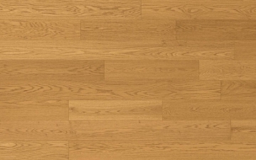 Picture of Norwood Hill - Allure Enthrall