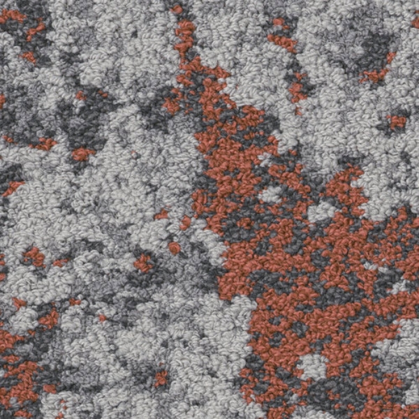 Picture of Shaw Contract - Weathered Color Flora Path