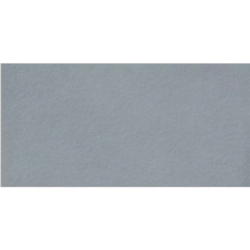 Picture of Milestone - Urban Living 24 x 48 Raw Coastal