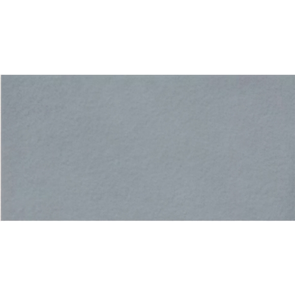 Picture of Milestone - Urban Living 24 x 48 Raw Coastal