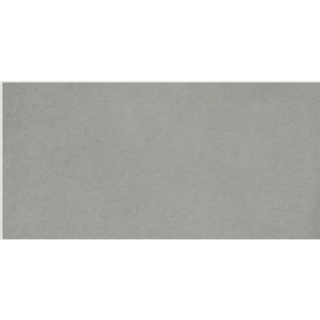 Picture of Milestone - Urban Living 24 x 48 Raw Jasper