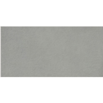 Picture of Milestone - Urban Living 24 x 48 Raw Jasper