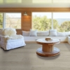 Picture of Shaw Floors - Titan HD Plus Platinum Serene Driftwood