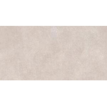 Picture of Tesoro - Terre 12 x 24 Plata