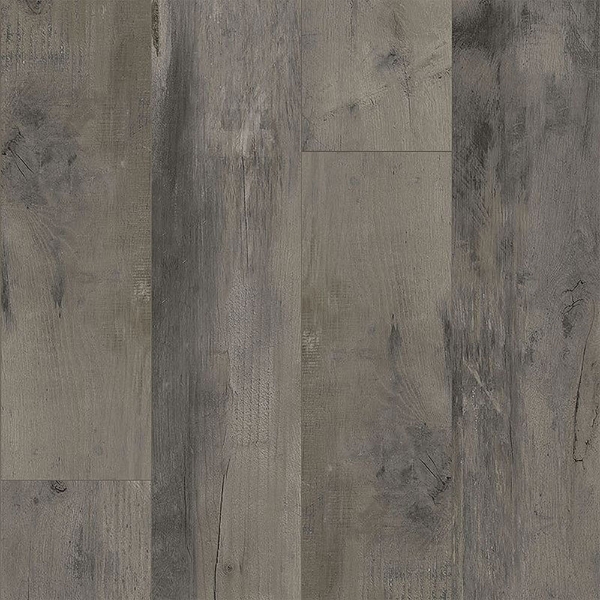 Picture of Aladdin Commercial - Reconnected Shadow