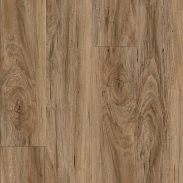 Picture of Aladdin Commercial - Reconnected Tawny